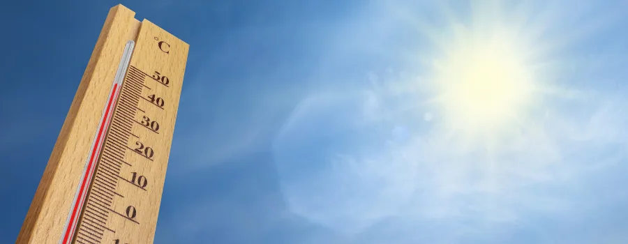 Canicule et travail : quelles sont vos options légales ?